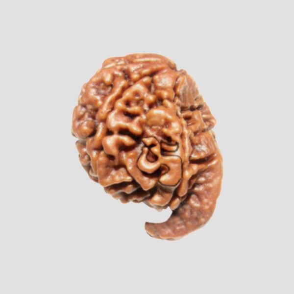 Ganesha-Rudraksha-Gautam-Astro